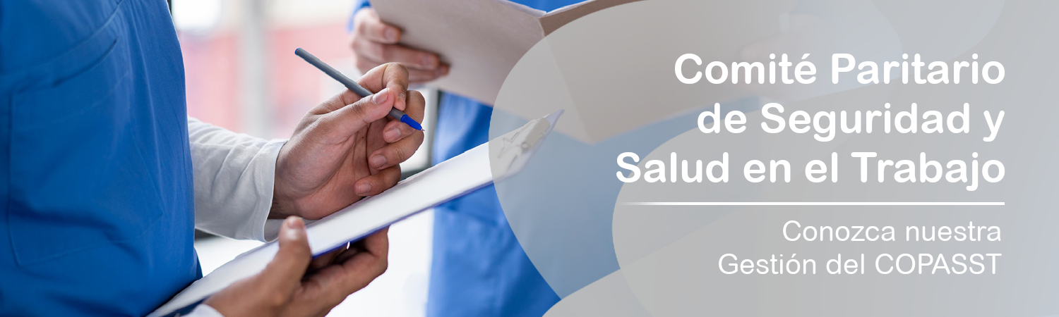 Comit&eacute; Paritario de Seguridad y Salud en el Trabajo